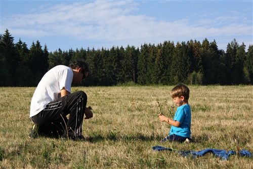 Obrázek v galerii